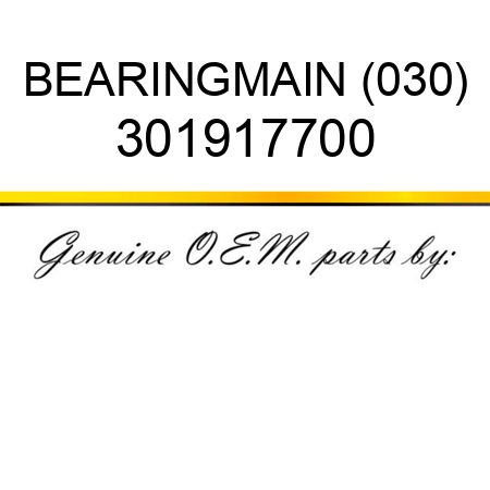 BEARING,MAIN (030) 301917700