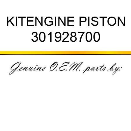 KIT,ENGINE PISTON 301928700