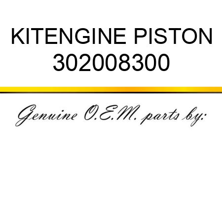 KIT,ENGINE PISTON 302008300