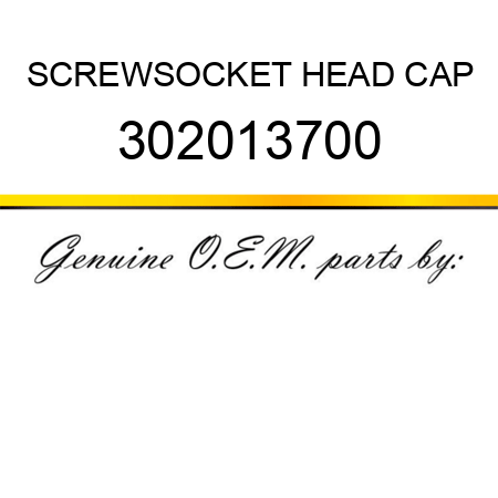 SCREW,SOCKET HEAD CAP 302013700