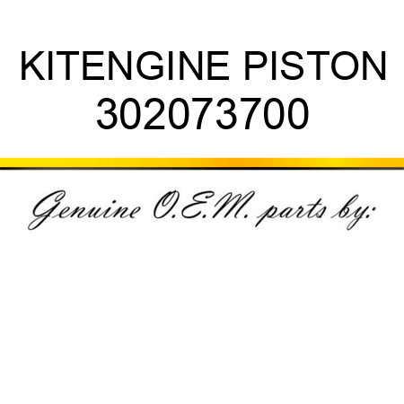 KIT,ENGINE PISTON 302073700