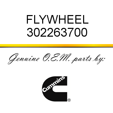 FLYWHEEL 302263700