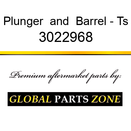 Plunger & Barrel - Ts 3022968