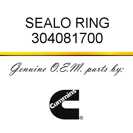 SEAL,O RING 304081700