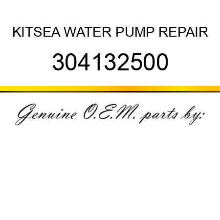 KIT,SEA WATER PUMP REPAIR 304132500