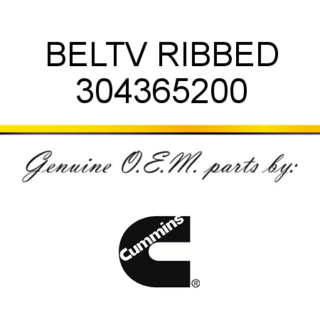 BELT,V RIBBED 304365200