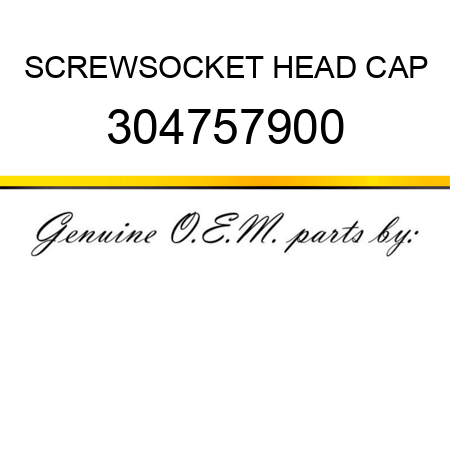 SCREW,SOCKET HEAD CAP 304757900