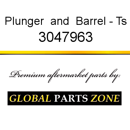 Plunger & Barrel - Ts 3047963