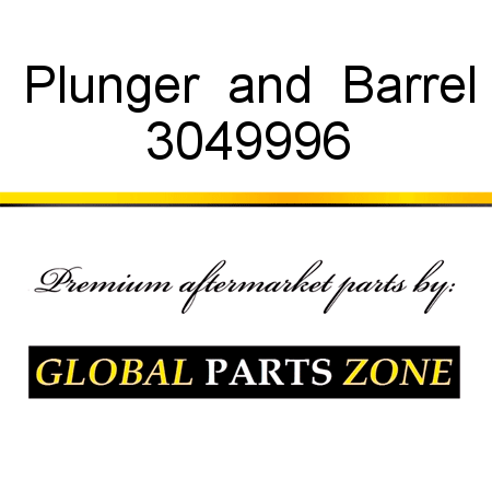 Plunger & Barrel 3049996