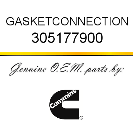 GASKET,CONNECTION 305177900