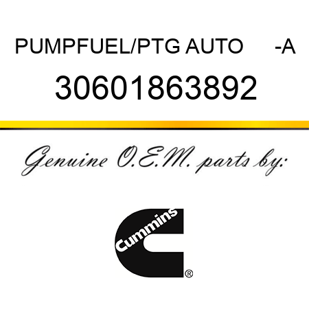 PUMP,FUEL/PTG AUTO     -A 30601863892
