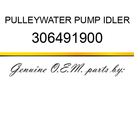 PULLEY,WATER PUMP IDLER 306491900