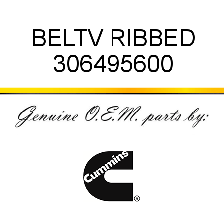 BELT,V RIBBED 306495600