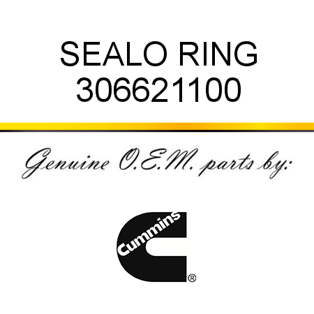 SEAL,O RING 306621100