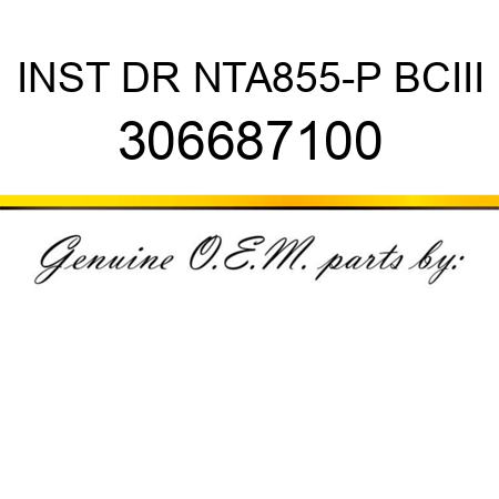 INST DR NTA855-P BCIII 306687100