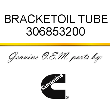 BRACKET,OIL TUBE 306853200