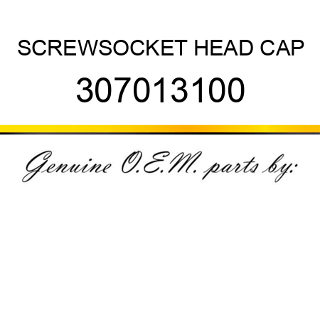 SCREW,SOCKET HEAD CAP 307013100