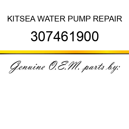 KIT,SEA WATER PUMP REPAIR 307461900