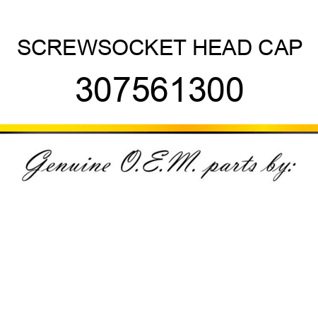 SCREW,SOCKET HEAD CAP 307561300