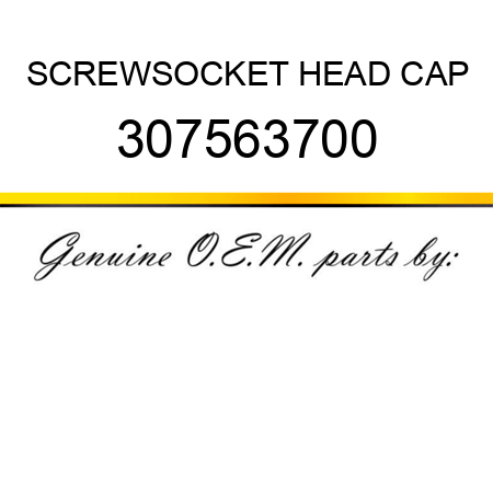SCREW,SOCKET HEAD CAP 307563700