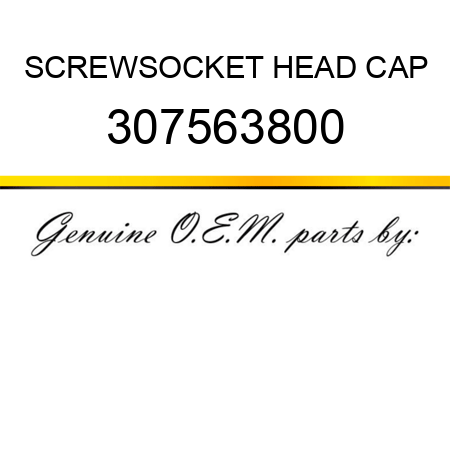 SCREW,SOCKET HEAD CAP 307563800