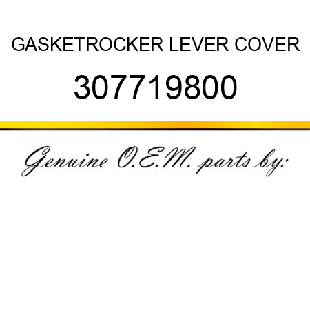 GASKET,ROCKER LEVER COVER 307719800