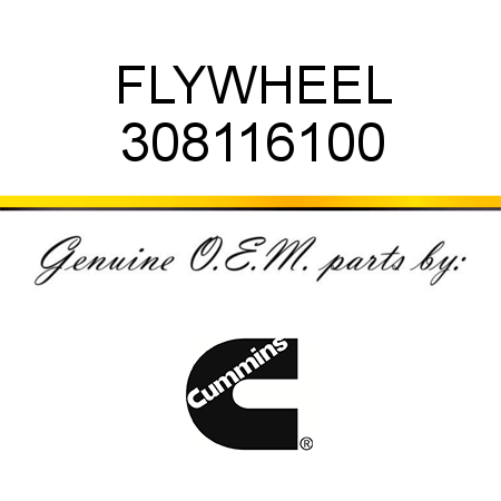 FLYWHEEL 308116100