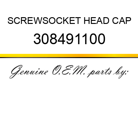 SCREW,SOCKET HEAD CAP 308491100