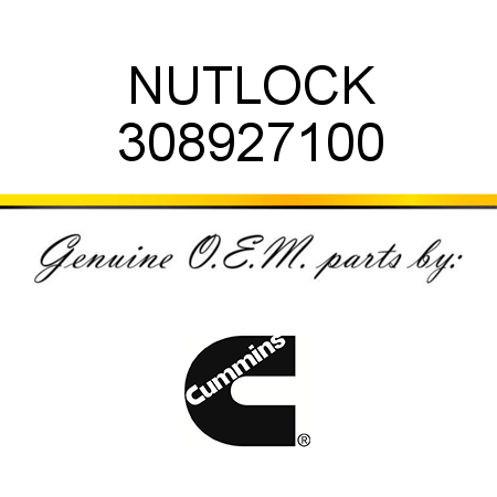 NUT,LOCK 308927100