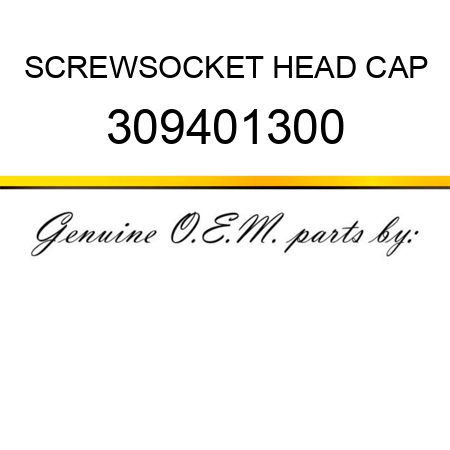 SCREW,SOCKET HEAD CAP 309401300