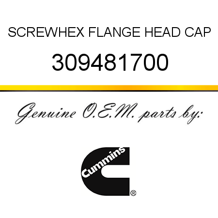 SCREW,HEX FLANGE HEAD CAP 309481700