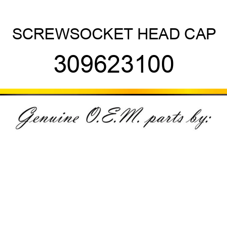 SCREW,SOCKET HEAD CAP 309623100