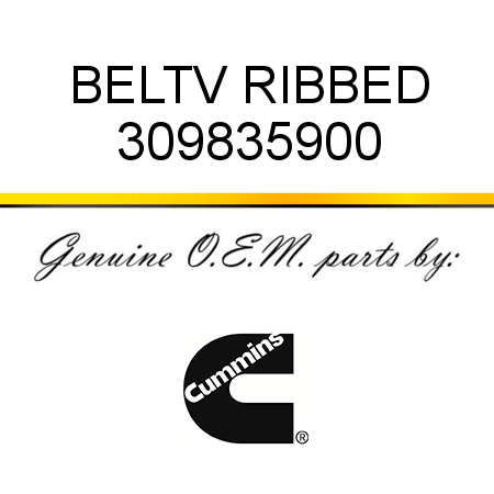 BELT,V RIBBED 309835900