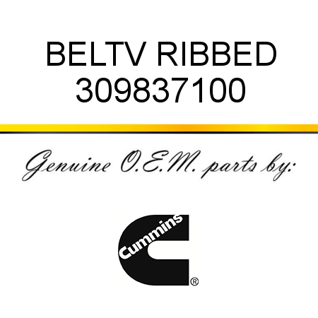 BELT,V RIBBED 309837100