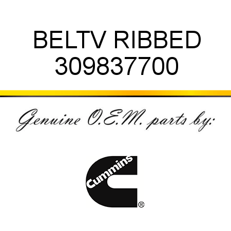 BELT,V RIBBED 309837700