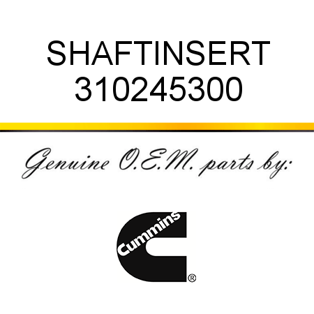 SHAFT,INSERT 310245300