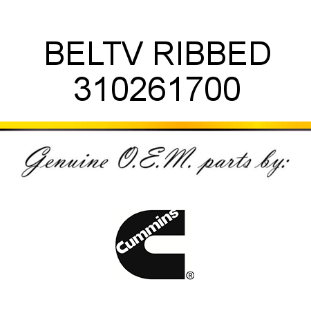 BELT,V RIBBED 310261700