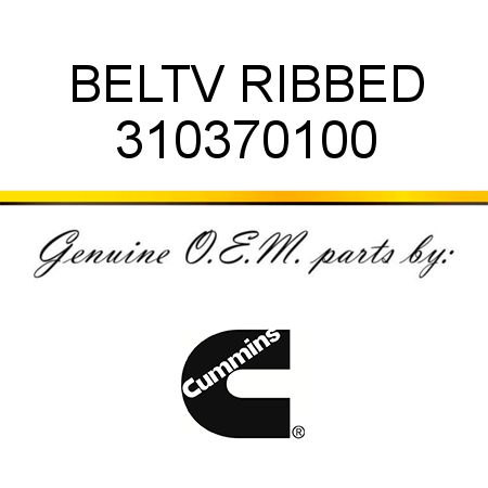 BELT,V RIBBED 310370100