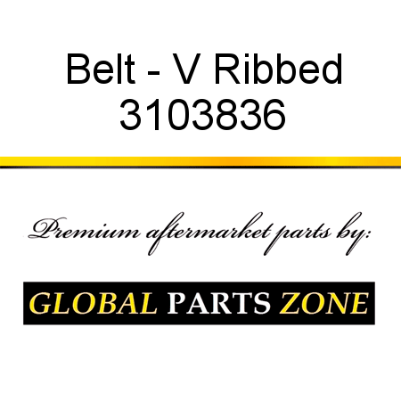 Belt - V Ribbed 3103836