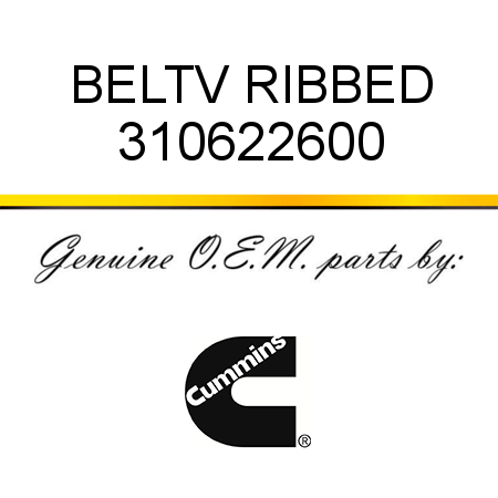 BELT,V RIBBED 310622600