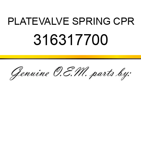 PLATE,VALVE SPRING CPR 316317700