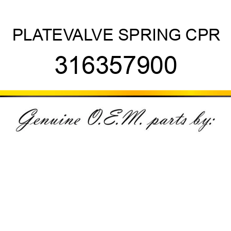 PLATE,VALVE SPRING CPR 316357900