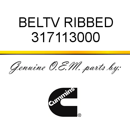 BELT,V RIBBED 317113000