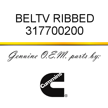 BELT,V RIBBED 317700200