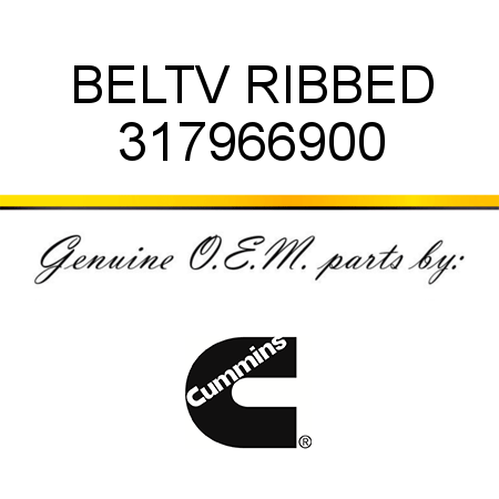 BELT,V RIBBED 317966900