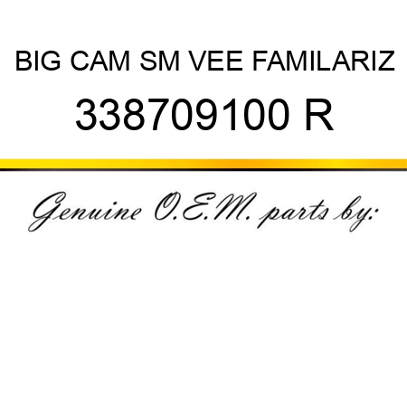 BIG CAM SM VEE FAMILARIZ 338709100 R