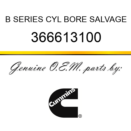 B SERIES CYL BORE SALVAGE 366613100
