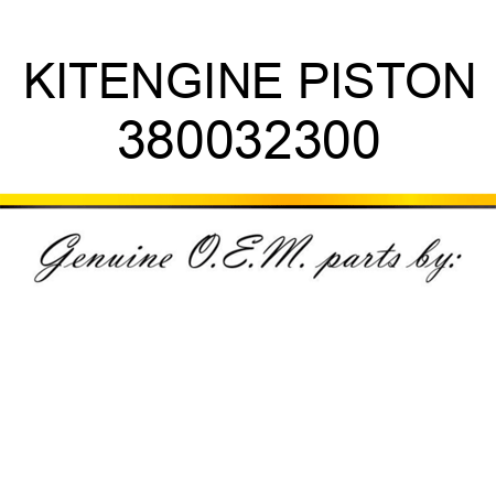 KIT,ENGINE PISTON 380032300