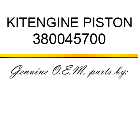 KIT,ENGINE PISTON 380045700