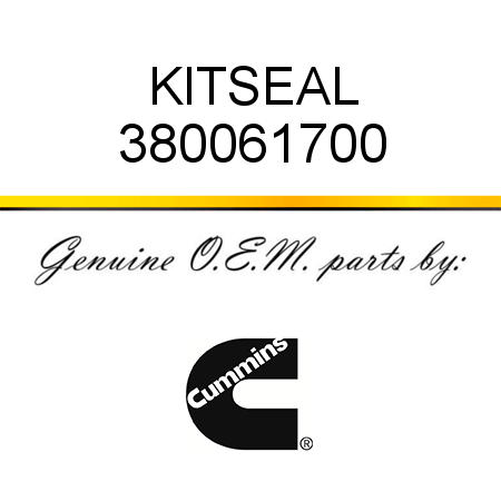 KIT,SEAL 380061700